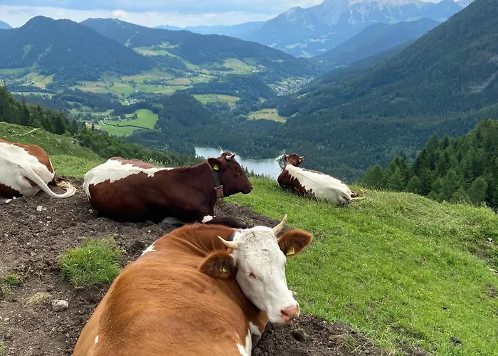 Gipfelblick