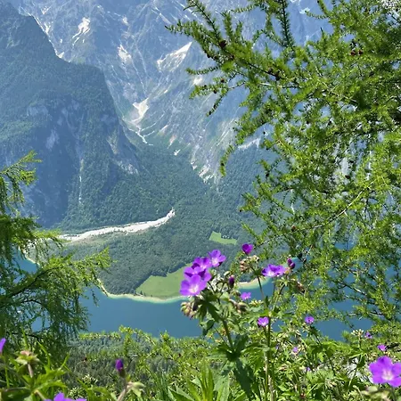 Gipfelblick Апартаменты *