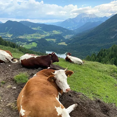 Gipfelblick